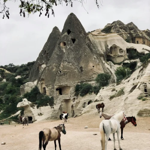 cappadocia horse